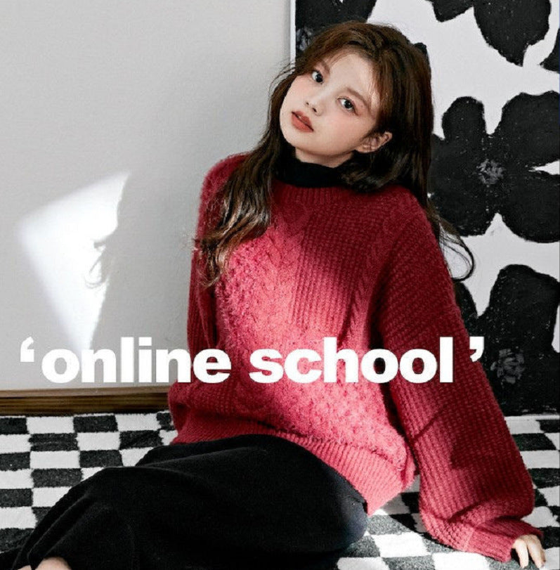 Women’ s Pullover Loose Jacquard Knit Sweater