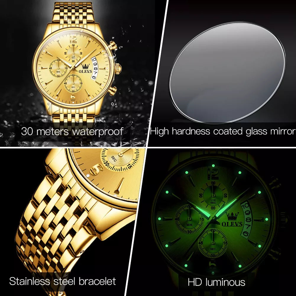 Pousbo® Automatic Mechanical Watch Luxury Gold Watch for Men