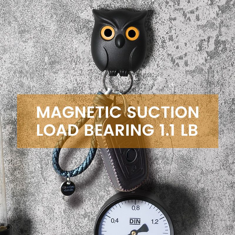 Wink Owl Magnetic Key Holder