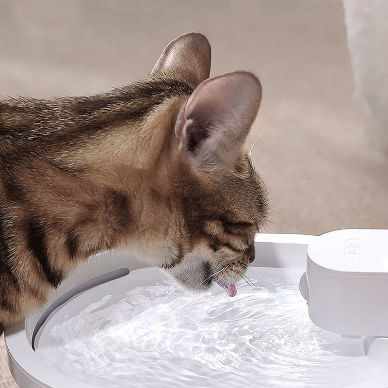 Pet Wireless Automatic Water Dispenser